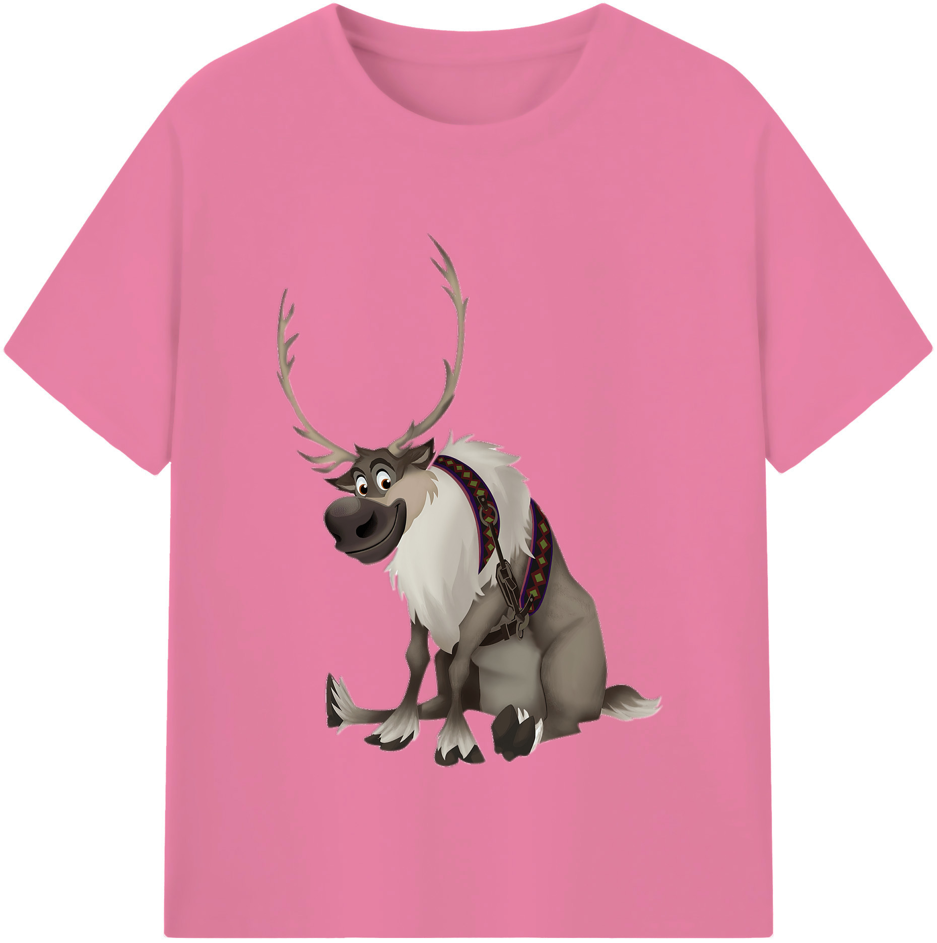 （画像用） アナと雪の女王 アンナ エルサ Frozen Anna Elsa 綿100％半袖Tシャツ（フロントプリント）